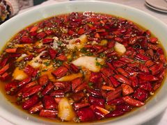 -孔雀云贵川·融合菜(长宁来福士店)