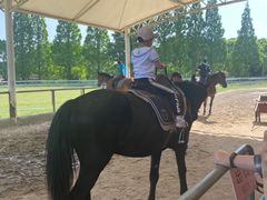 -太阳岛度假酒店