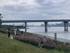 -九龙湖公园