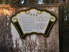 -大屏嶂森林公园