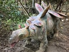-呀路古热带植物园