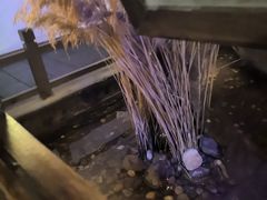 -淀里船宴(裕华东路店)