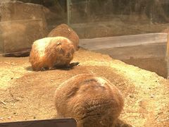 -绿色星球动物主题公园