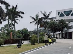 -东澳岛