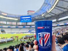 -八万人体育馆-外场足球场