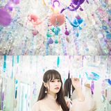 魔都看展|少女心必去的爱丽丝的奇境缤纷之旅！