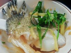 -黎记大排档(慈云路店)