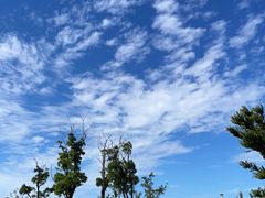 -南汇新城城市公园