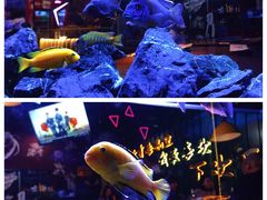 -黄鱼炙夜·烧烤·小龙虾(世茂缤谷店)