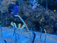 -成都浩海立方海洋公园