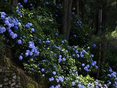 -苍山感通索道