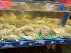 -乐在集市海鲜大排档(平潭店)