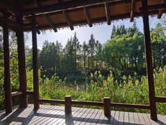 -新江湾城公园