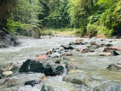 -西岭雪山大飞水景区