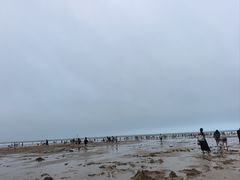 -日照海滨国家森林公园