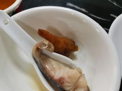 -鸭嘴鱼