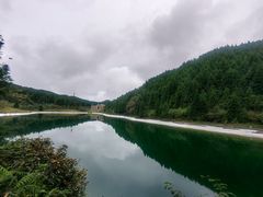 -武陵山森林公园