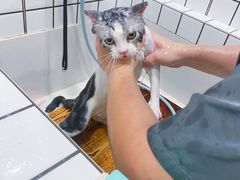 -熊小胖宠物生活馆(天华园店)