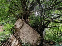 -草庵摩尼教遗址公园