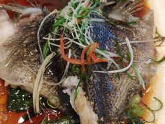 清蒸笋壳鱼-新南华大酒店(广中店)