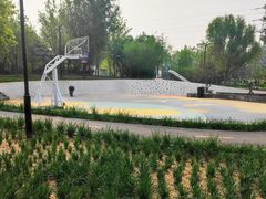 -太阳宫公园