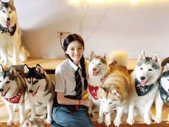 -Husky Go! 哈士奇体验馆·宠物咖啡厅狗咖