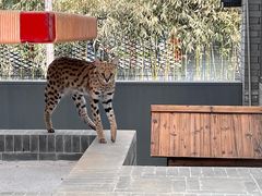 -北京野生动物园