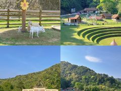 -龙岩森林水乡景区