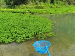 -桤木河湿地公园