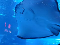 -太平洋海底世界