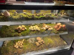 -滇野云南野生菌餐厅(陕西南路店)