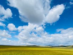 -塞罕坝国家级自然保护区