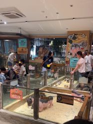 -造物庄园 萌宠纪(苏州湾歌林公园店)