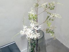-设计共和 Design Republic
