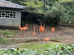 -杭州动物园