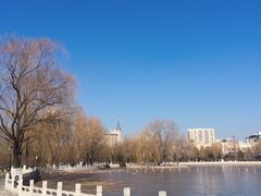 -莲花池公园