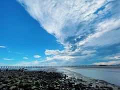 -宝安西湾红树林湿地公园