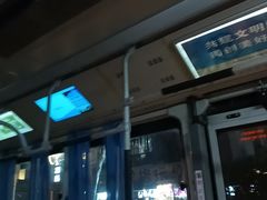 -阿达西新疆餐厅(西北大学店)