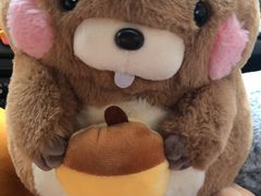 -PAWTOY爪e玩偶店(天兴罗斯福店)