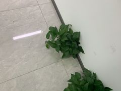 -新航道雅思托福·留学·考研培训(人民广场校区)