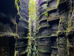 -梭布垭石林景区