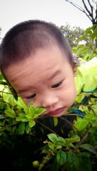 android_upload_pic-云湖游乐园