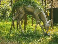 -杭州开元森泊度假乐园