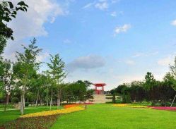 -大望京儿童游乐场