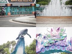 -海合安武汉极地海洋公园