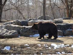 -北京野生动物园