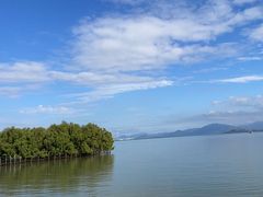 -深圳湾公园(南山区)