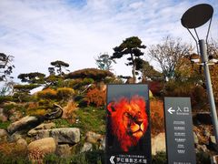 -罗红摄影艺术馆