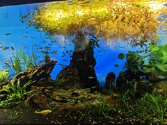 -太平洋海底世界