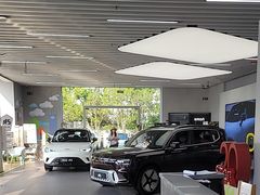 -上海浦东smart汽车全功能店(金桥店)